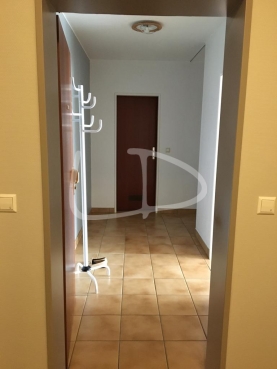 WhatsApp Image 2021-10-13 at 08.43.51.jpeg